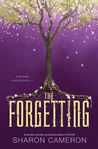 TheForgetting