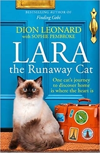 Lara the Runaway Cat