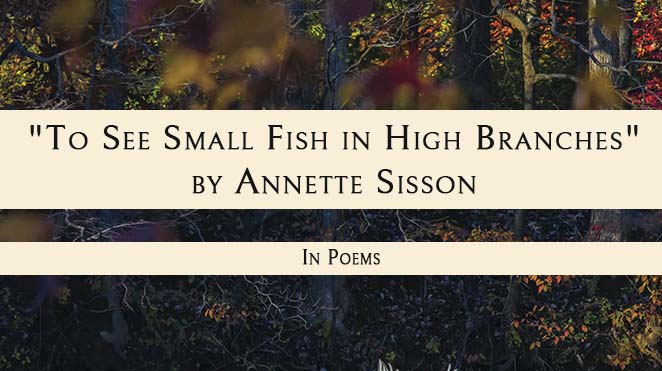 “To See Small Fish in High Branches”