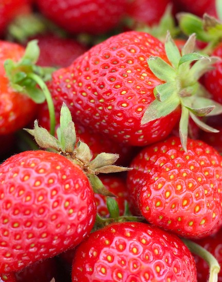 Strawberry Season Arrives